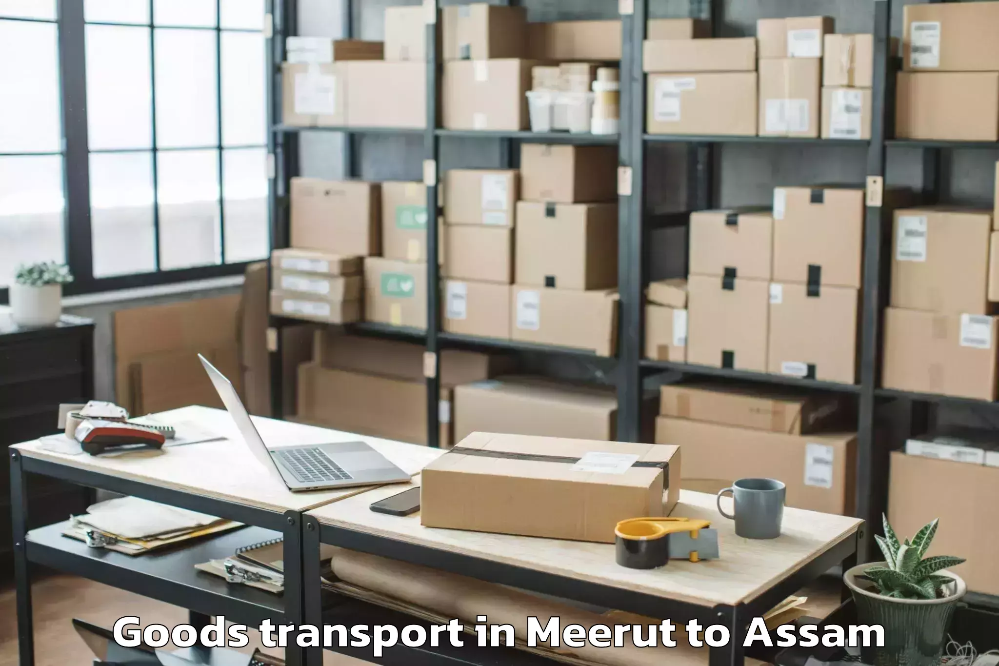 Leading Meerut to Naharkatia Goods Transport Provider